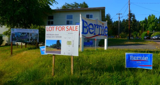 What did Bernie Sanders' campaign achieve?