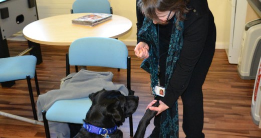 Living with MS: Not just surviving but thriving (with a little canine care)