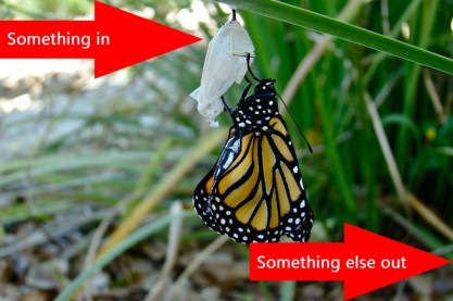 What is a transformation process? The one minute guide