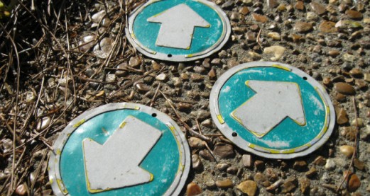 Do people really behave in a rational way?