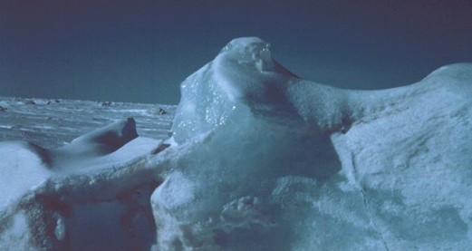 Speed of Arctic changes defies scientists