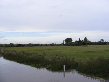 Milton Keynes rallies in support of the Corn Laws