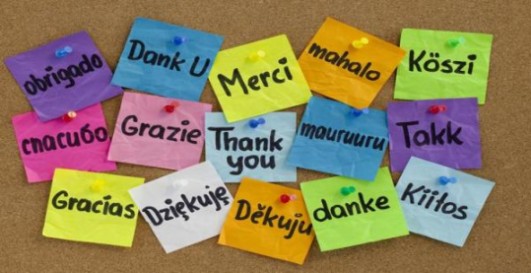 How international is management education?