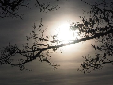 Why has Donald Trump set his sights on the Moon?