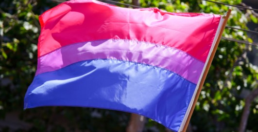 Review: Bisexuality: Identities, Politics and Theories by Surya Monro