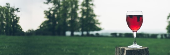 5 benefits of going sober this October