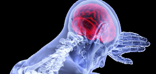 The secrets of the brain