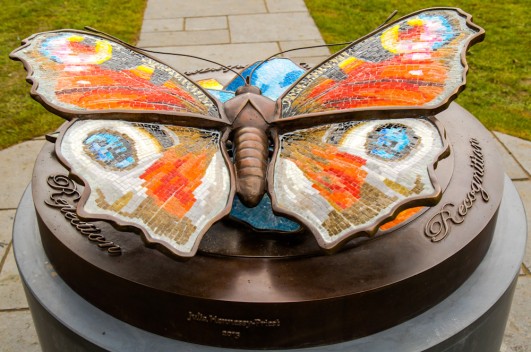 A gift of life at the end of life