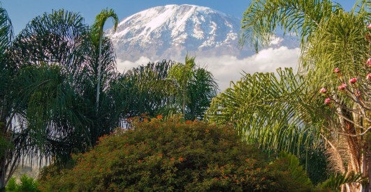 Sebastian Chuwa: environmentalist, conservationist and champion of Tanzanian nature