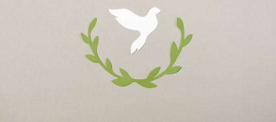 Pineapples and Pashto: building intercultural competence through Peace Education