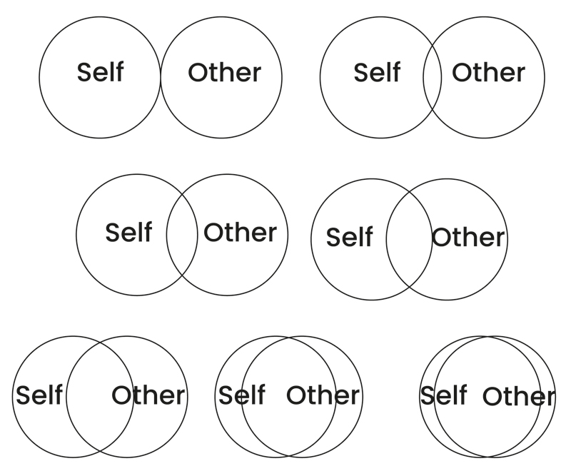 A number of circles labelled ‘Self’ and ‘Other’, overlapping in various ways.