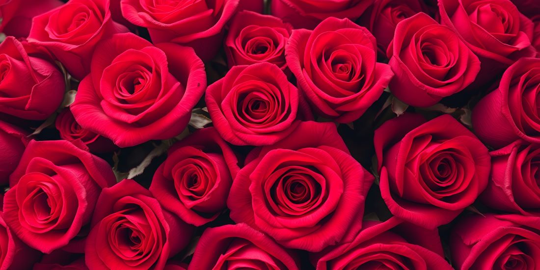 The OpenLearn Valentine's Collection