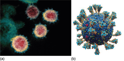 Described image