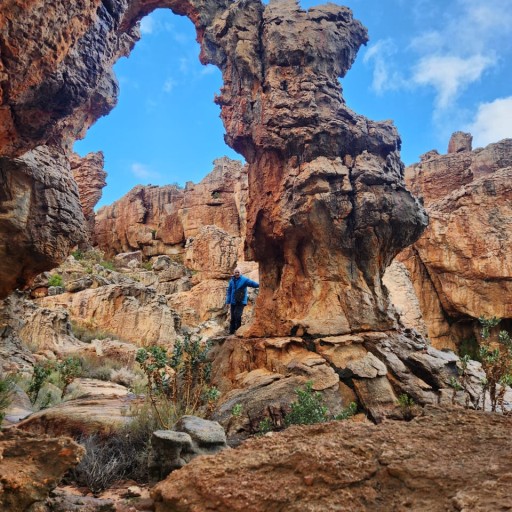 Profile: Marius Rossouw Carstens