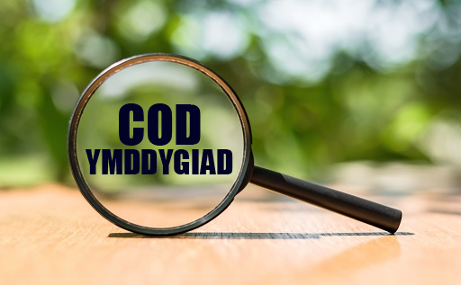 Chwyddwydr gyda'r geiriau 'cod ymddygiad' yn y gwydr