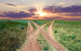 A photograph of two diverging dirt tracks through a field and the sun setting in the background.