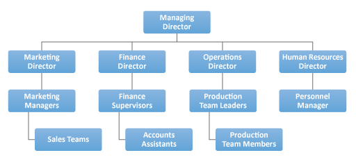 A typical organisation chart for a business