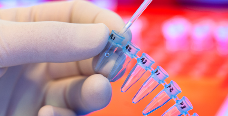 Online Summer School 2025