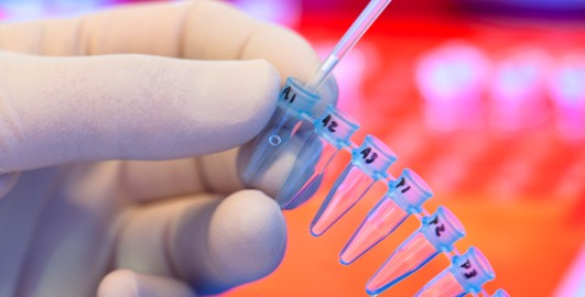 Online Summer School 2025