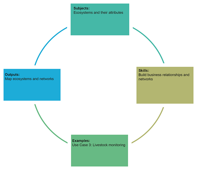 Learning cycle divided into four parts – subjects, skills, example and outputs.