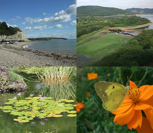 Four photos showing different ecosystems