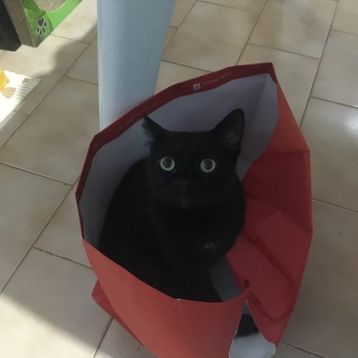 Profile: Tatiele Freitas