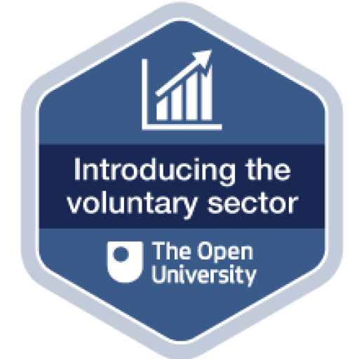 Introducing the voluntary sector