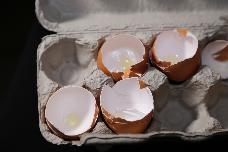 Empty broken egg shells in an egg carton
