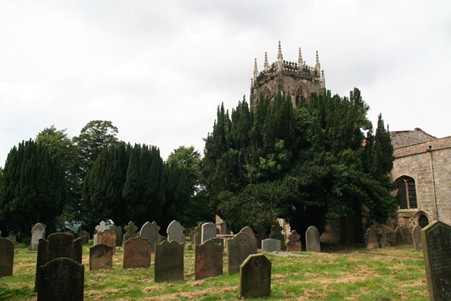 Irish Yews and part of the extensive graveyard, Holme upon Spalding Moor