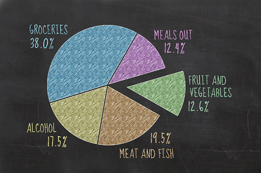 This is an illustration of a pie chart.
