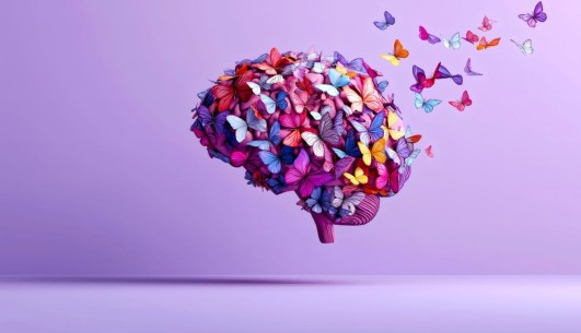 What is the Neurodiversity Hub?