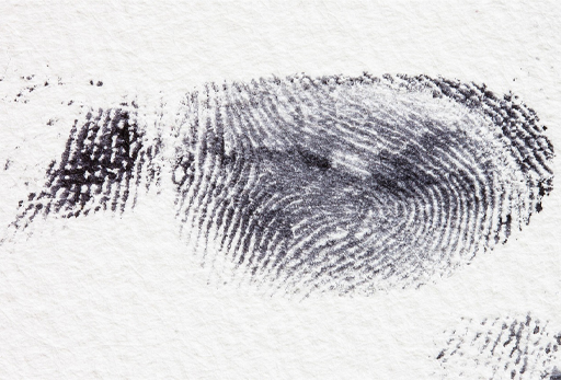 Image of a fingerprint