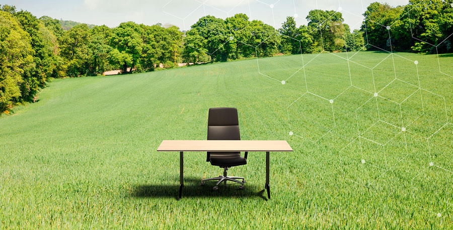 Gweithio hybrid: dechrau yn y gweithle