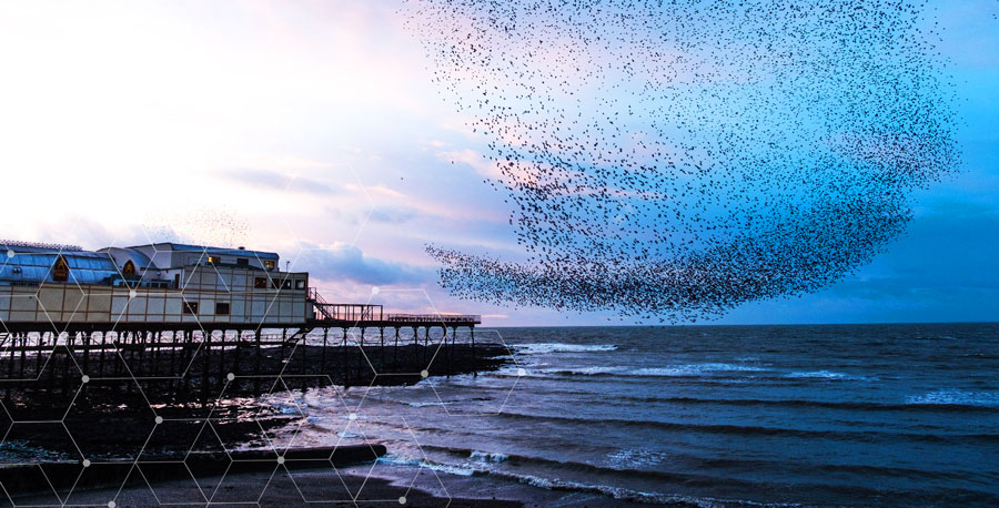 Gweithio hybrid: datblygu sefydliadol