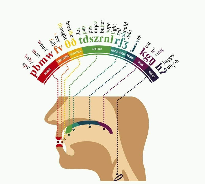 Described image