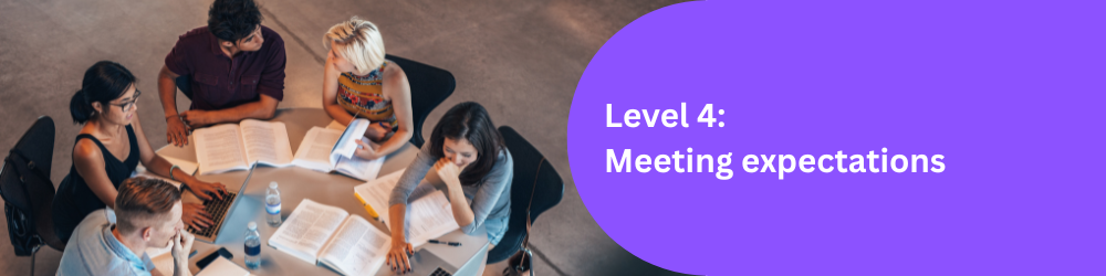 Level 4: Meeting expectations