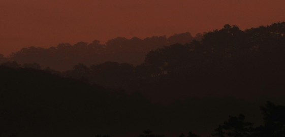 Irish Gothic story competition winners