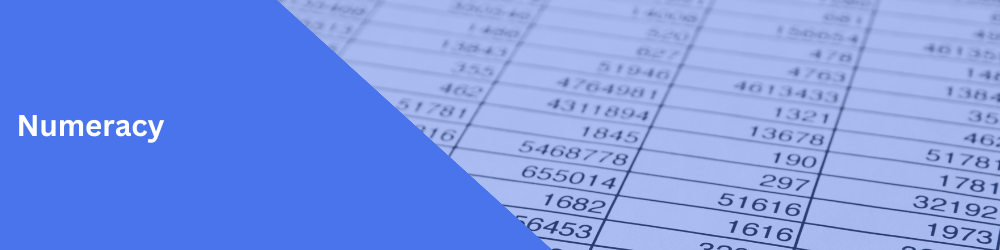 Numeracy