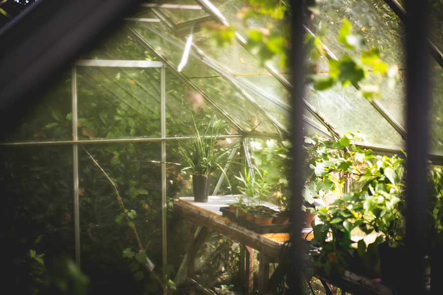 Image of a garden glass house full of plants.