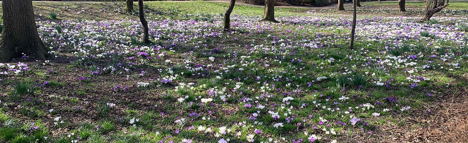 Why do we feel happier in the spring? | OpenLearn - Open University
