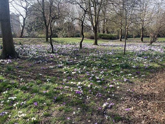 Why do we feel happier in the spring?