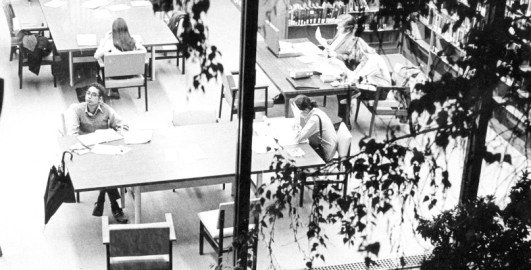 You and your world: Introducing the social sciences