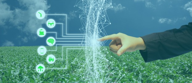 AI without borders: balancing productivity and privacy in agriculture