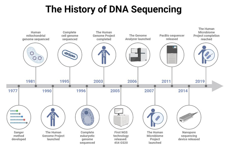 This figure is a horizontal timeline infographic showing key milestones in the development of DNA sequencing technology from 1977 to 2019.