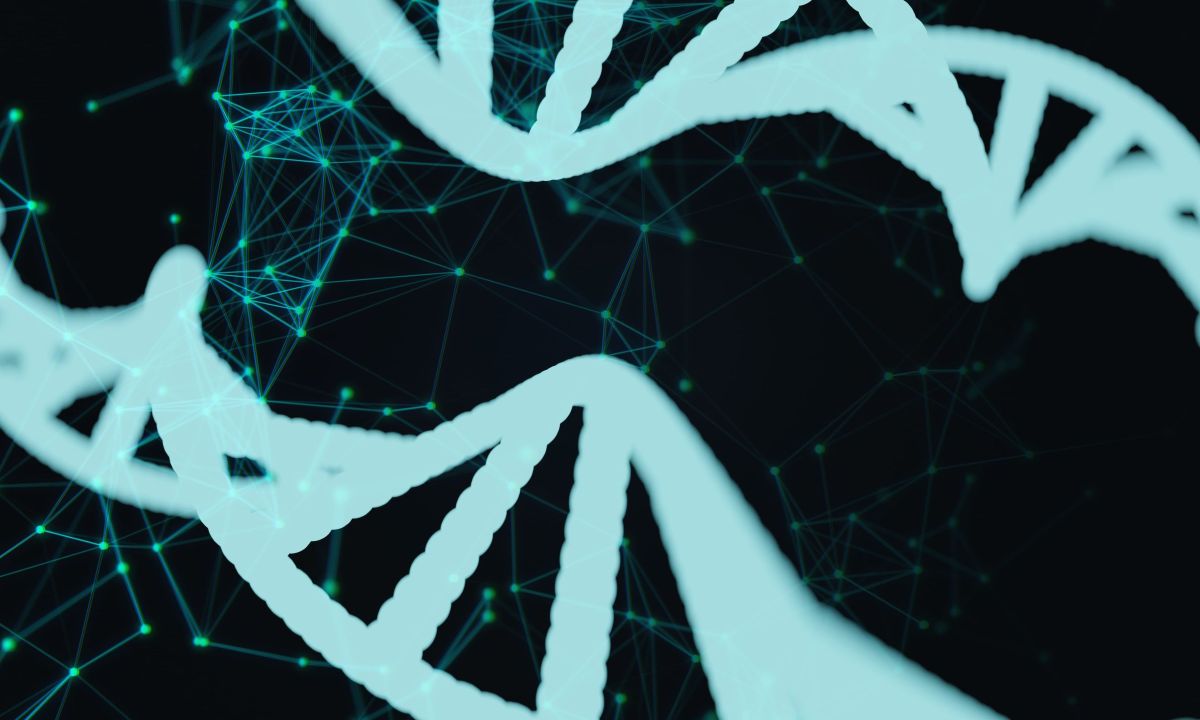 Bioinformatics: a new asset in the Disease Detectives toolkit
