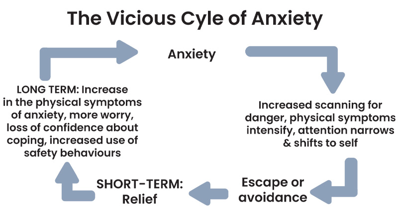 Flow diagram titled "The Vicious Cycle of Anxiety". The cycle begins with anxiety, leading to increased scanning for danger, intensified physical symptoms, and narrowed attention focused on oneself. This leads to escape or avoidance behaviours, which provide short-term relief. Over the long term, avoidance increases physical symptoms of anxiety, worry, reduced confidence in coping, and reliance on safety behaviours, reinforcing the cycle.