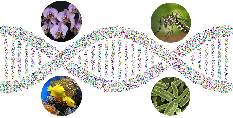 The metagenomics revolution: an introduction