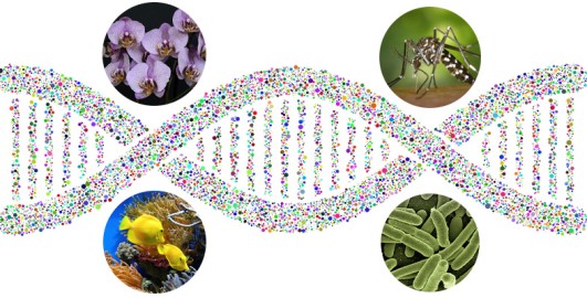 The metagenomics revolution: an introduction