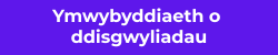 Ymwybyddiaeth o ddisgwyliadau