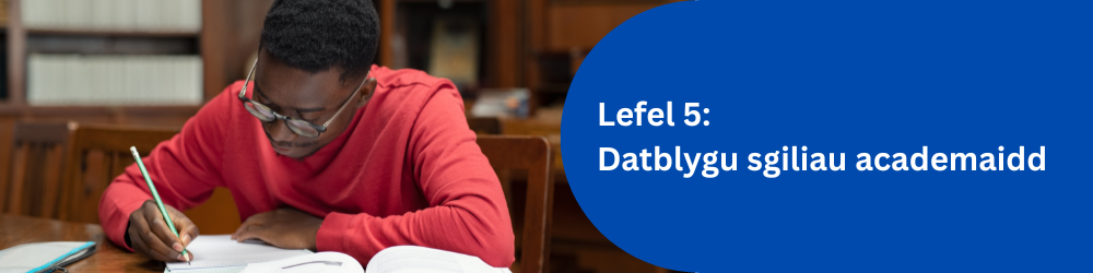Lefel 5: Datblygu sgiliau academaidd